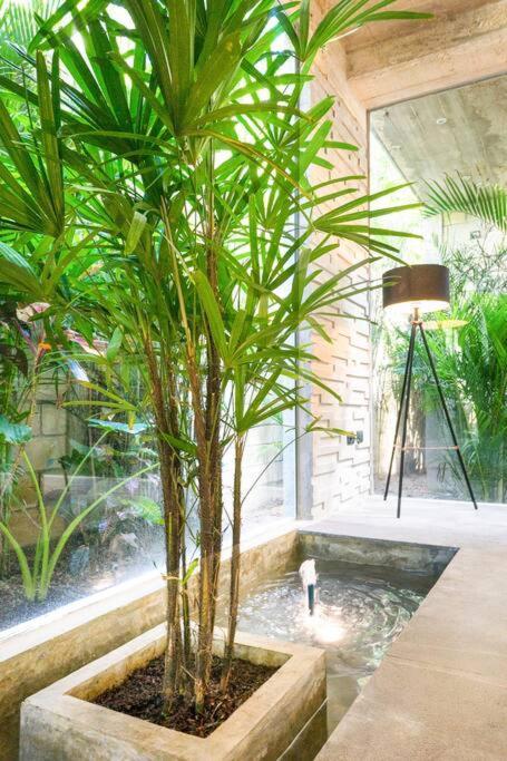 Villa Nimi Architectural Masterpiece Experience Private Pool & Great Concierge Service By Hum Living Tulum Exteriér fotografie