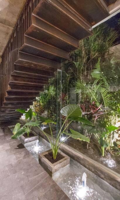 Villa Nimi Architectural Masterpiece Experience Private Pool & Great Concierge Service By Hum Living Tulum Exteriér fotografie